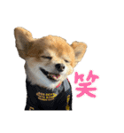 Chamu④（個別スタンプ：9）