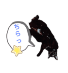 猫猫三姉妹スタンプ2（個別スタンプ：3）