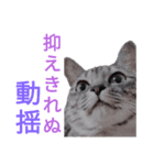 猫猫三姉妹スタンプ2（個別スタンプ：7）