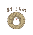 富山弁の文鳥（個別スタンプ：34）