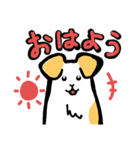 ジャックラッセル 犬（個別スタンプ：1）