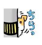 ジャックラッセル 犬（個別スタンプ：6）