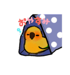 ゆるインコ。（個別スタンプ：1）