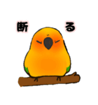 ゆるインコ。（個別スタンプ：7）