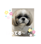 むーちゃんらーちゃんスタンプ✴︎（個別スタンプ：3）