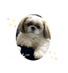 むーちゃんらーちゃんスタンプ✴︎（個別スタンプ：5）