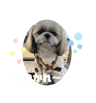 むーちゃんらーちゃんスタンプ✴︎（個別スタンプ：8）
