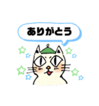 猫さんと一緒。（個別スタンプ：6）