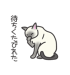 かしこ猫ミニー（個別スタンプ：11）