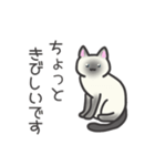 かしこ猫ミニー（個別スタンプ：24）