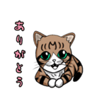 うちのもちねこ vol.2（個別スタンプ：12）