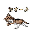 うちのもちねこ vol.2（個別スタンプ：19）