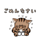 うちのもちねこ vol.2（個別スタンプ：24）