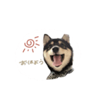 ♡ぷりかる様（個別スタンプ：5）