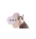 ♡ぷりかる様（個別スタンプ：8）