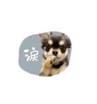 ♡MARI様（個別スタンプ：4）
