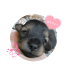 まりむにちゃん♡（個別スタンプ：3）