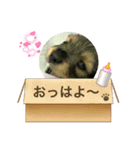 まりむにちゃん♡（個別スタンプ：5）