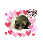 まりむにちゃん♡（個別スタンプ：8）