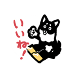 ライジにゃんとリプロ―（時々しろすけ）（個別スタンプ：19）