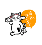 ライジにゃんとリプロ―（時々しろすけ）（個別スタンプ：24）