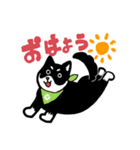 ライジにゃんとリプロ―（時々しろすけ）（個別スタンプ：34）