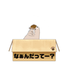 純トド（個別スタンプ：15）