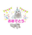 ドスコイほたるのスコ日和（第6弾）（個別スタンプ：1）
