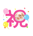 イベントスタンプ〜お花見の巻〜（個別スタンプ：1）