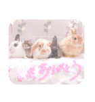 イベントスタンプ〜お花見の巻〜（個別スタンプ：2）