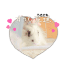 イベントスタンプ〜お花見の巻〜（個別スタンプ：3）