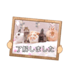 イベントスタンプ〜お花見の巻〜（個別スタンプ：7）