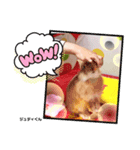 イベントスタンプ〜お花見の巻〜（個別スタンプ：8）