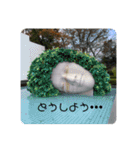 楽しめちゃう☆日常会話（個別スタンプ：7）