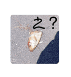 楽しめちゃう☆日常会話（個別スタンプ：8）
