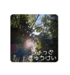 楽しめちゃう☆日常会話（個別スタンプ：15）