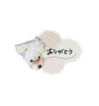 ♡ももね様（個別スタンプ：2）