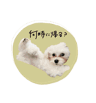 ♡ももね様（個別スタンプ：4）
