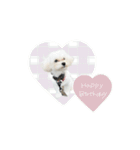 ♡ももね様（個別スタンプ：9）