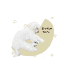 ♡ももね様（個別スタンプ：14）