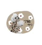 ♡ももね様（個別スタンプ：20）