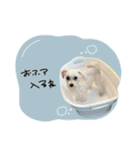 ♡ももね様（個別スタンプ：24）