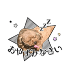Goku ＆ Chi-chi's sticker（個別スタンプ：7）