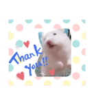 はーみーのかわいいスタンプ（個別スタンプ：1）