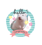 はーみーのかわいいスタンプ（個別スタンプ：2）