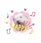 はーみーのかわいいスタンプ（個別スタンプ：3）