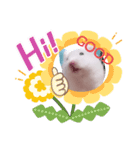はーみーのかわいいスタンプ（個別スタンプ：4）