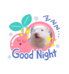 はーみーのかわいいスタンプ（個別スタンプ：10）