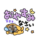 りーたまがえる（個別スタンプ：7）