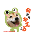 りーたまがえる（個別スタンプ：10）